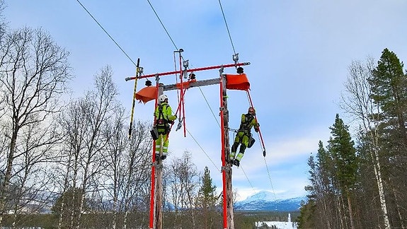 Bilde 4 av 4 i jobbannonse-galleriet