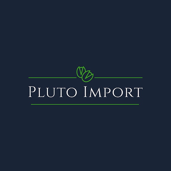 PLUTO IMPORT AS logo