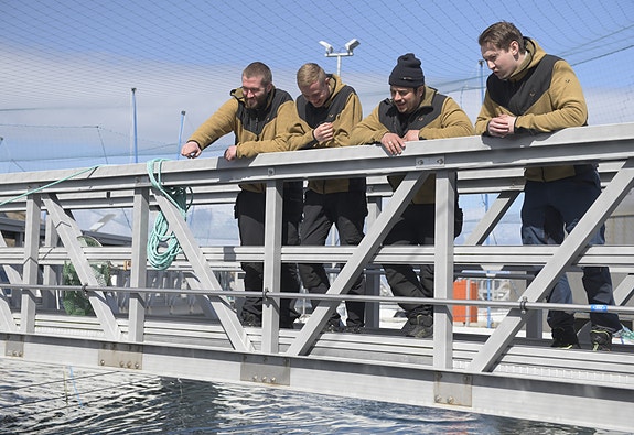 Bilde 2 av 5 i jobbannonse-galleriet