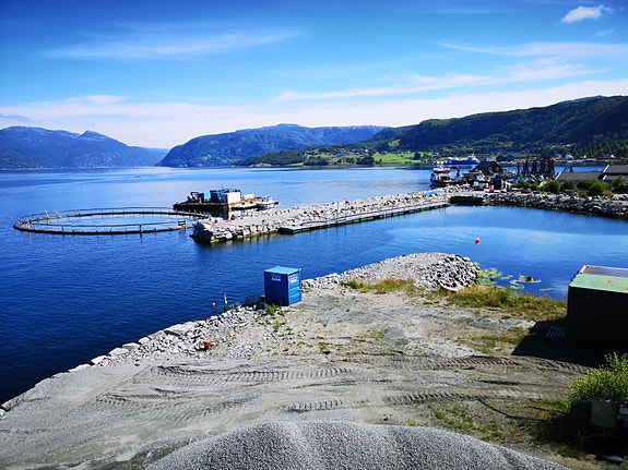 Flott havn på Viganeset til sjøtesting