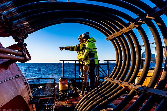 Bilde 1 av 1 i jobbannonse-galleriet