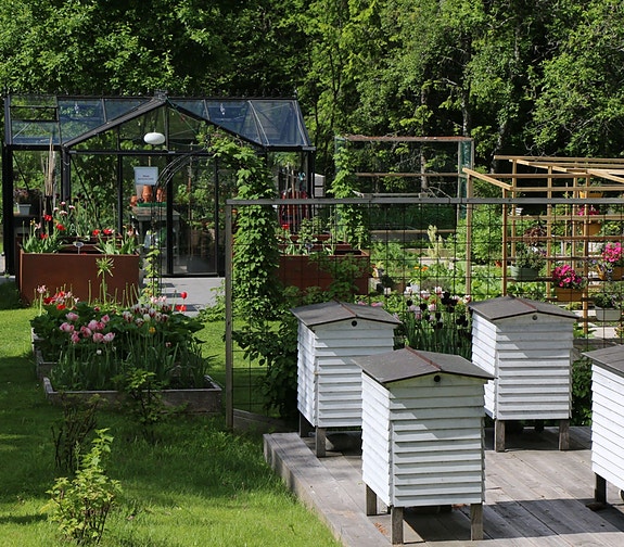 Bilde 2 av 6 i jobbannonse-galleriet