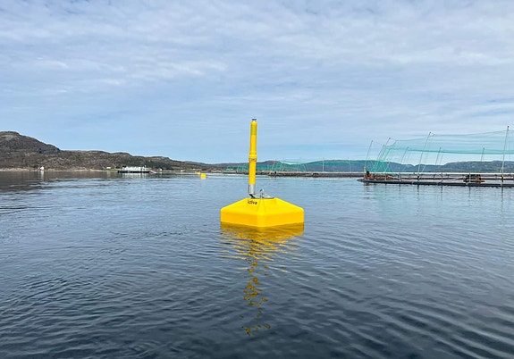 Bilde 1 av 3 i jobbannonse-galleriet