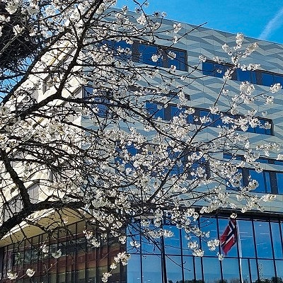 Bilde 1 av 1 i jobbannonse-galleriet