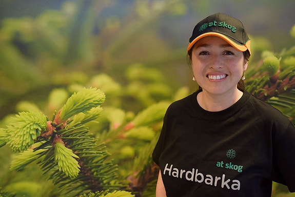 Bilde 4 av 5 i jobbannonse-galleriet