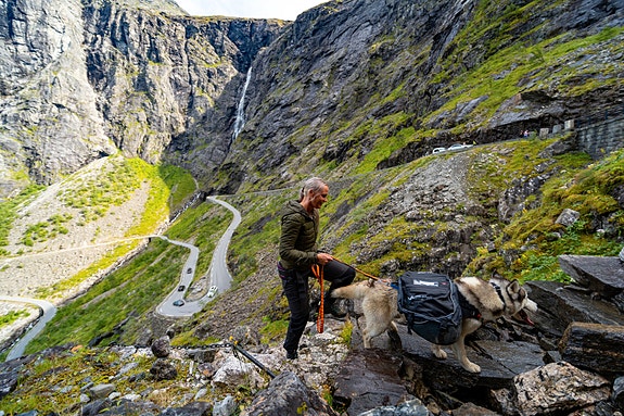 Bilde 8 av 10 i jobbannonse-galleriet