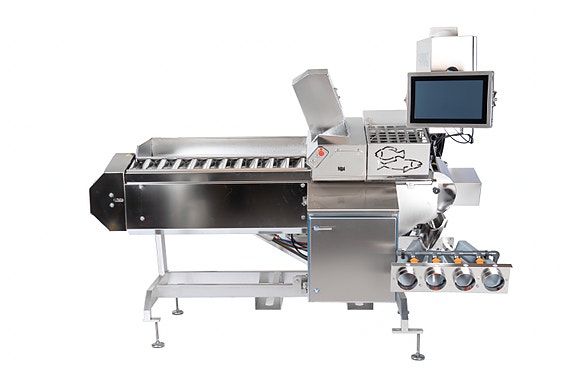 Bilde 1 av 1 i jobbannonse-galleriet