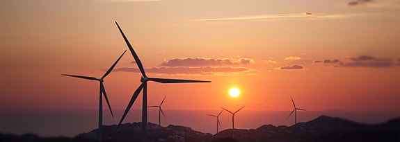 Bilde 1 av 2 i jobbannonse-galleriet