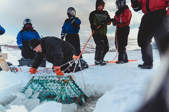 Bilde 4 av 10 i jobbannonse-galleriet