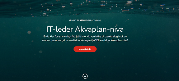 Bilde 1 av 5 i jobbannonse-galleriet