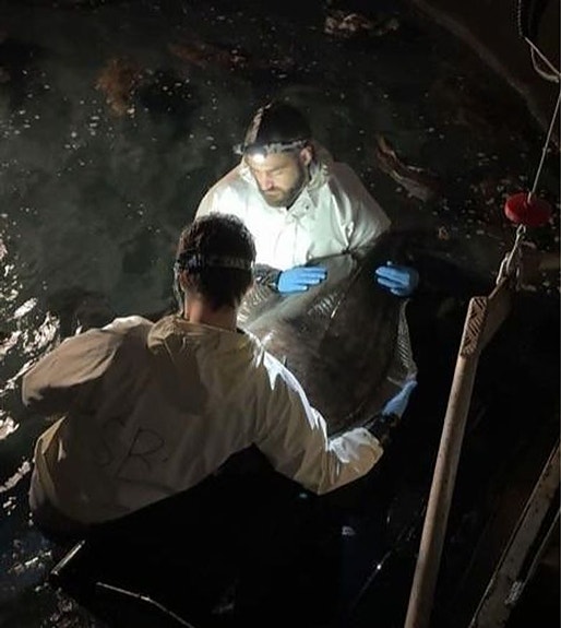 Bilde 7 av 7 i jobbannonse-galleriet