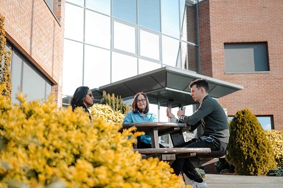 Bilde 2 av 2 i jobbannonse-galleriet