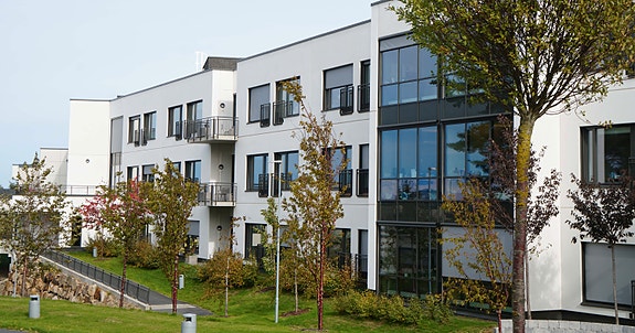 Bilde 3 av 3 i jobbannonse-galleriet