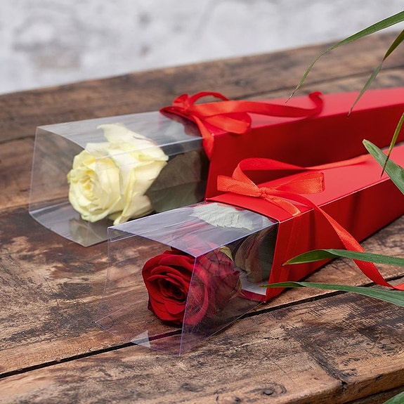 Bilde 1 av 14 i jobbannonse-galleriet