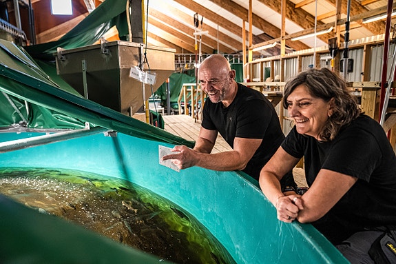 Bilde 4 av 4 i jobbannonse-galleriet