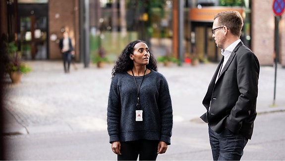 Bilde 1 av 1 i jobbannonse-galleriet