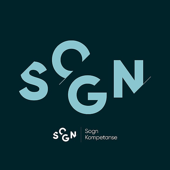 Bilde 1 av 3 i jobbannonse-galleriet