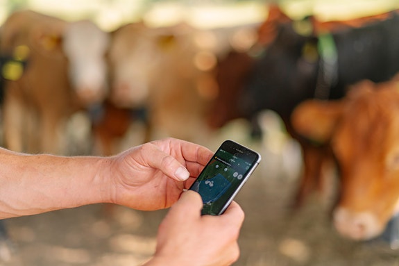 Bilde 4 av 4 i jobbannonse-galleriet