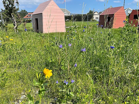 Bilde 1 av 3 i jobbannonse-galleriet