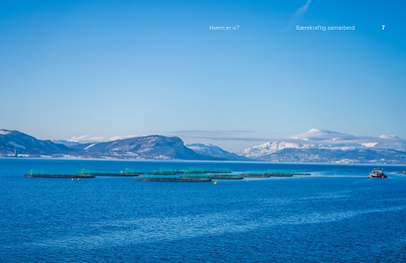 Bilde 1 av 7 i jobbannonse-galleriet