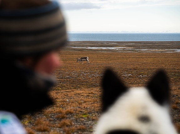 Bilde 6 av 8 i jobbannonse-galleriet