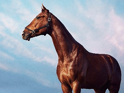 Bilde 1 av 2 i jobbannonse-galleriet