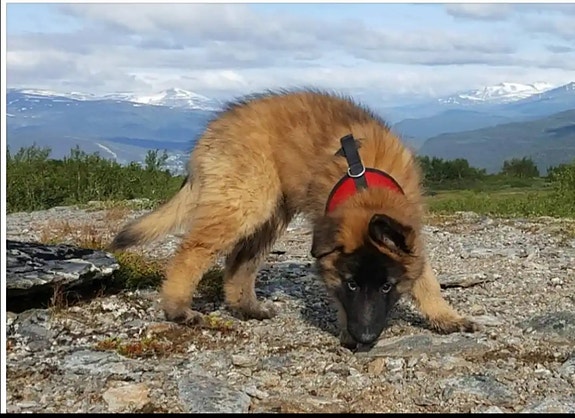 Product image 5 of 10