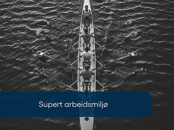 Bilde 4 av 8 i jobbannonse-galleriet