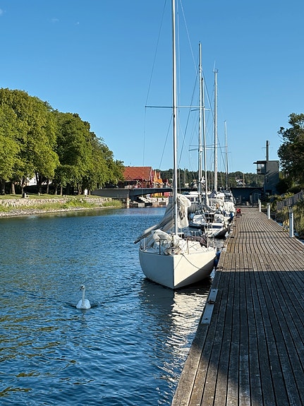 26 fot Albin Express til leie fra Bygdøy 16 of 29
