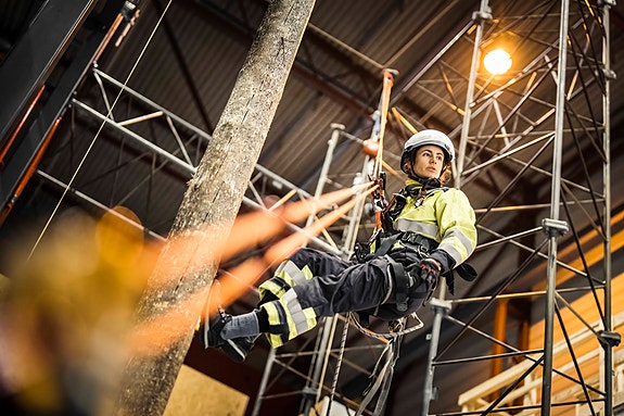 Bilde 2 av 3 i jobbannonse-galleriet