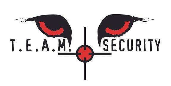 Team Security AS logo