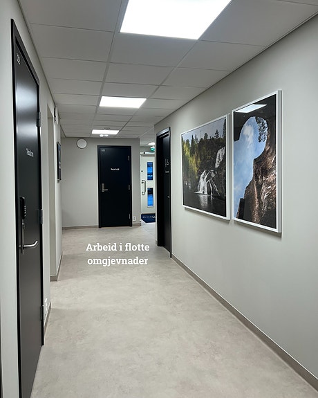 Bilde 8 av 10 i jobbannonse-galleriet