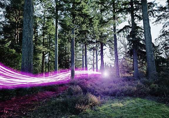 Bilde 4 av 5 i jobbannonse-galleriet