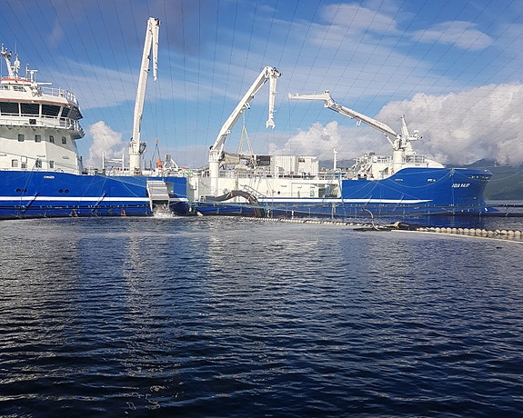 Bilde 2 av 5 i jobbannonse-galleriet