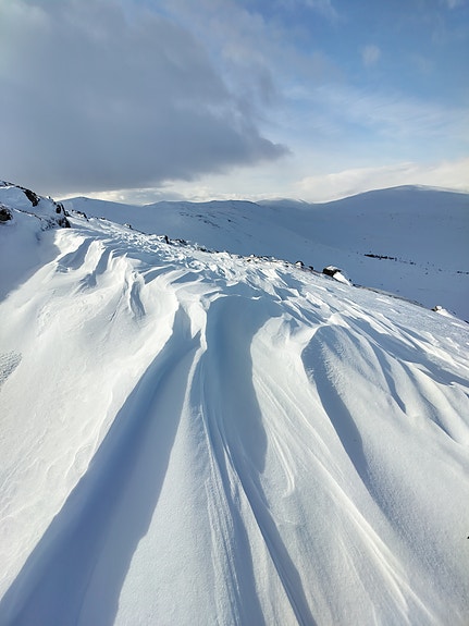 Bilde 8 av 9 i jobbannonse-galleriet