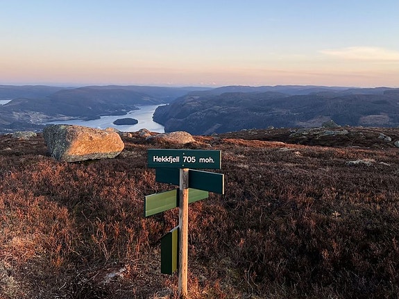 Bilde 7 av 10 i jobbannonse-galleriet