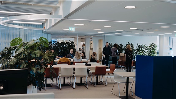 Bilde 1 av 4 i jobbannonse-galleriet