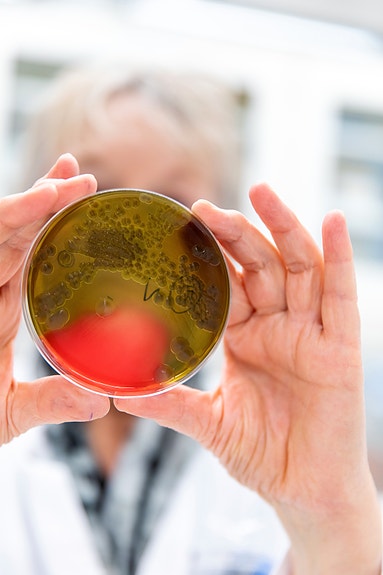 Bilde 2 av 3 i jobbannonse-galleriet