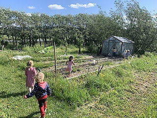 Grønnsakshagen