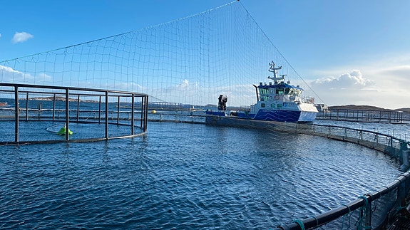 Bilde 4 av 4 i jobbannonse-galleriet