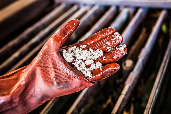 Bilde 8 av 10 i jobbannonse-galleriet