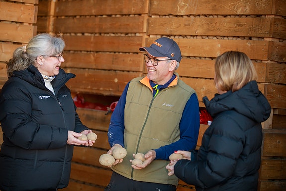 Bilde 2 av 8 i jobbannonse-galleriet