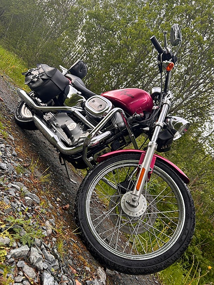 Harley-Davidson XL 883 Sportster 2 of 21