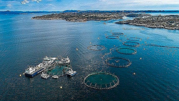 Bilde 5 av 8 i jobbannonse-galleriet