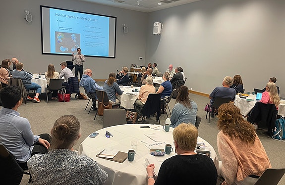 Innspillsrunder i Hjernerådet