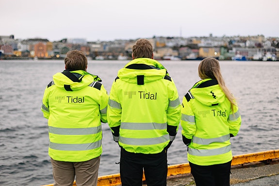 Bilde 5 av 5 i jobbannonse-galleriet