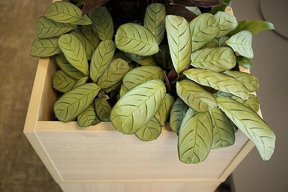 Bilde 2 av 10 i jobbannonse-galleriet