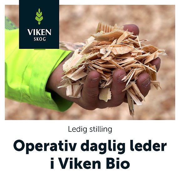 Bilde 1 av 4 i jobbannonse-galleriet