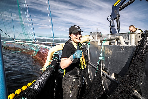 Bilde 3 av 4 i jobbannonse-galleriet