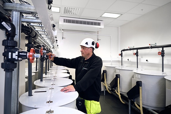 Bilde 5 av 7 i jobbannonse-galleriet